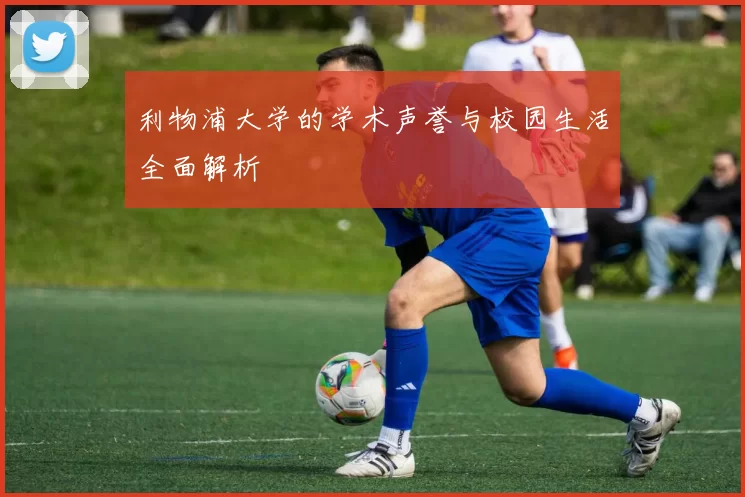 利物浦大学的学术声誉与校园生活全面解析